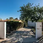 Palm مونتي ناي